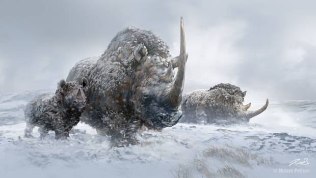 Woolly Rhinos