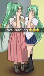 We Irritating Meme