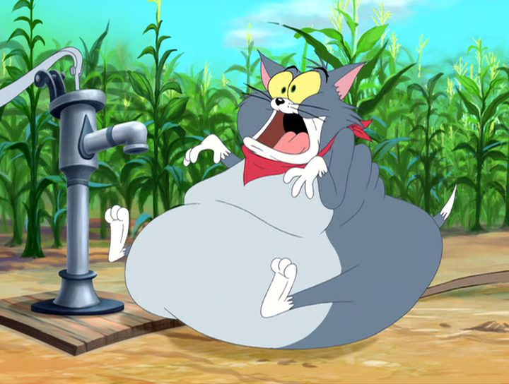 Top Cat Inflation Tom Cat Water Weight Inflation by GreatKitty2000 on DeviantArt