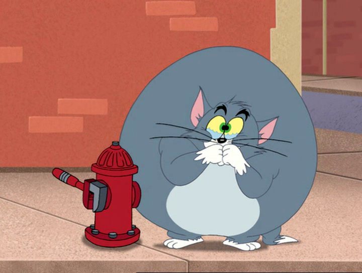 Top Cat Inflation Tom Cat Water Inflation by GreatKitty2000 on DeviantArt