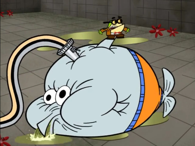 Darwin Inflating Dolphin Water Inflation by GreatKitty2000 on DeviantArt