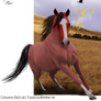 Off I Go Contest entry