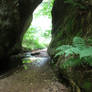 Under follows a creek