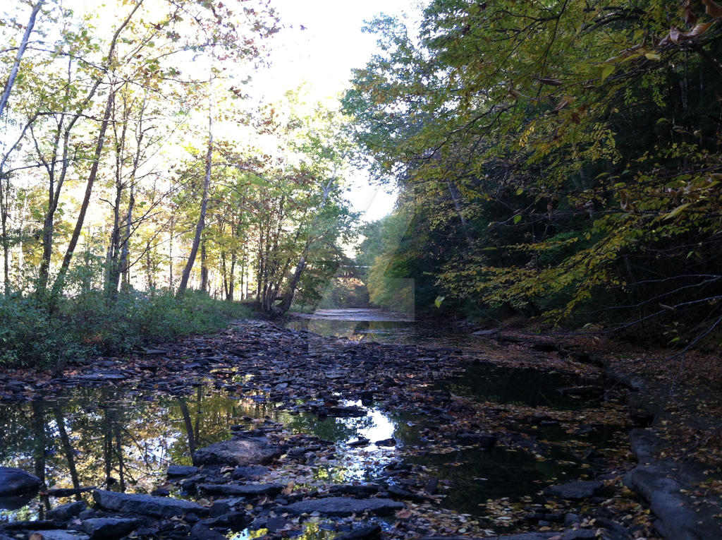 Fall beauty