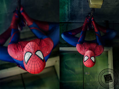 The Amazing Spider-Man