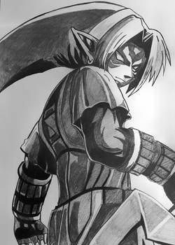 Fierce Deity Link from Majora's Mask