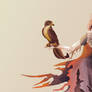 Falcon lady