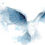 Watercolor Owl