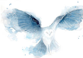 Watercolor Owl