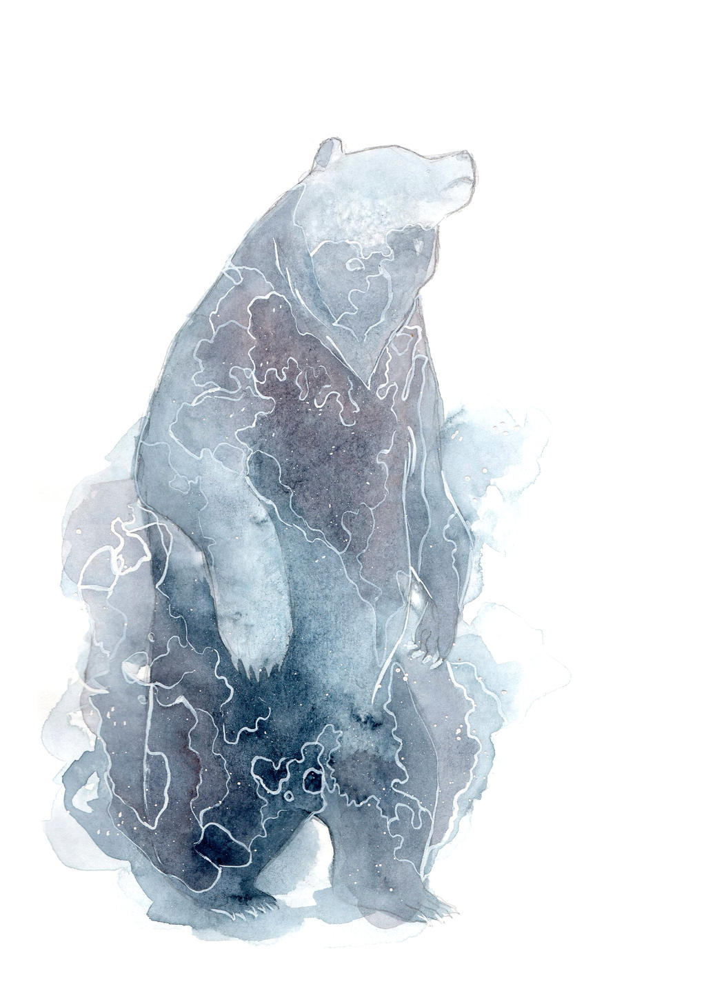 Watercolor Bear