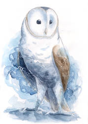 Watercolor Barn Owl