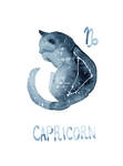 Zodiac Cat - Capricorn