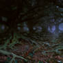 Enchated forest