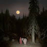 By the Moonrise