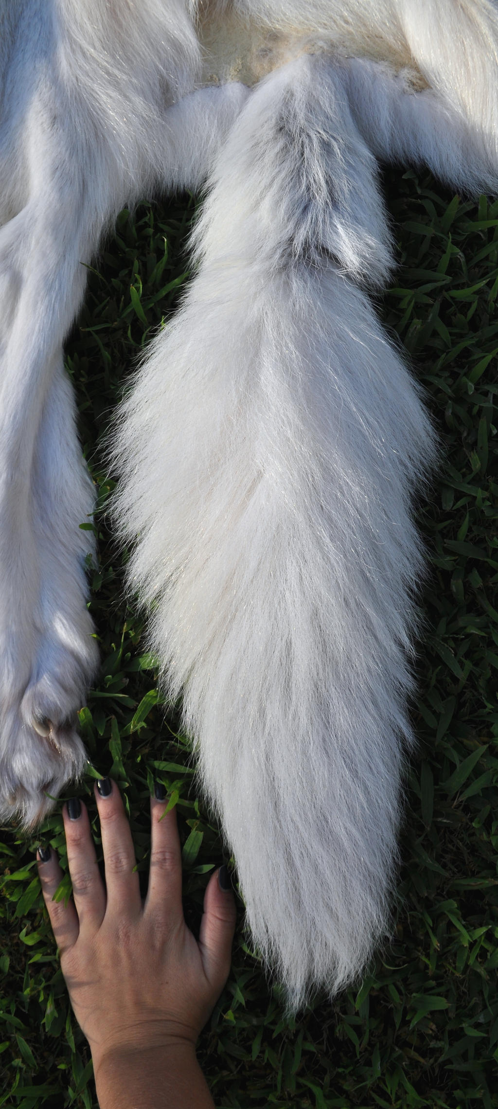 White Wolf Tail by AlmostAustralian on DeviantArt