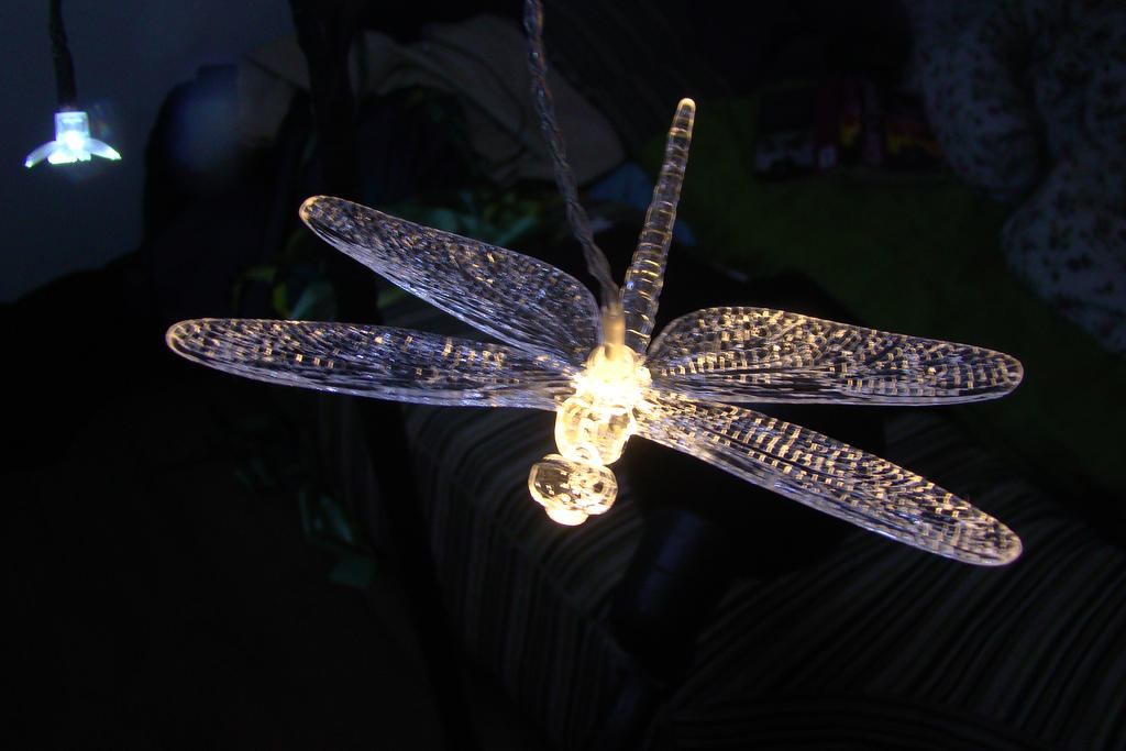 Lucent dragonfly 2