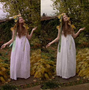 Lady Autumn 5 by Panopticon-Stock Lady Autumn 5 by Panopticon-Stock