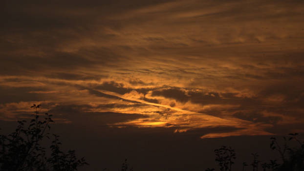 Fiery sky 6