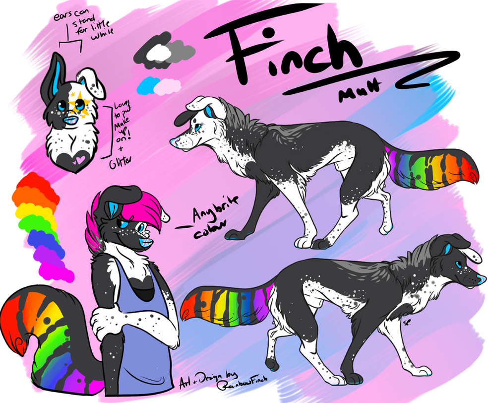 Finch 2016-2017 Reference