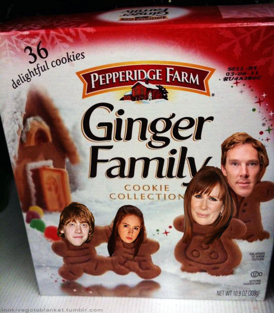 Ginger Family