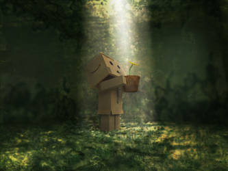 danbo toy