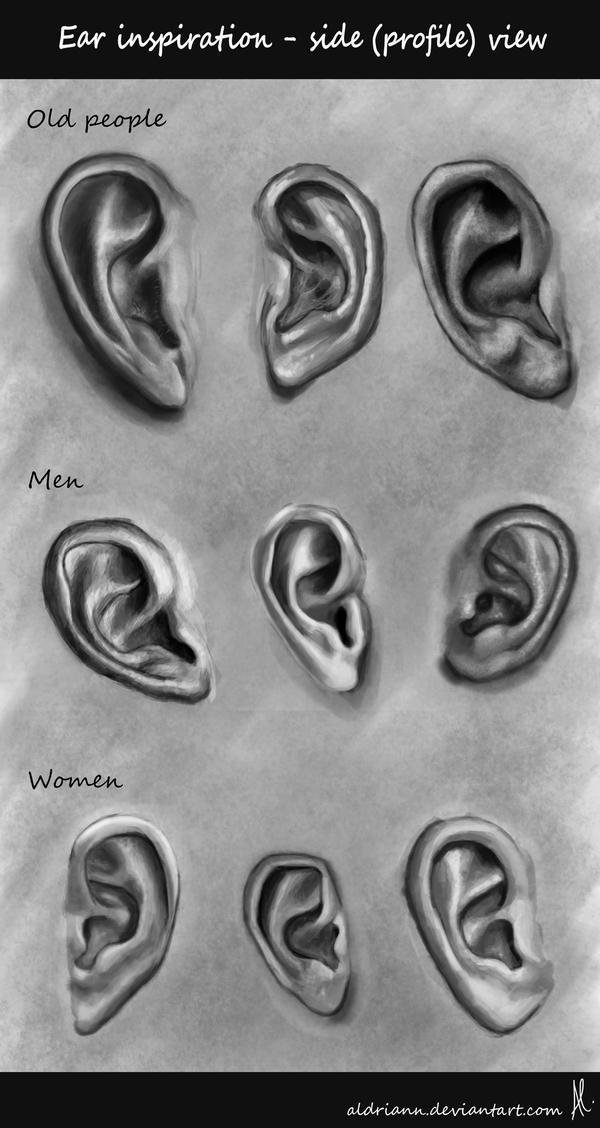 Ear Shapes Inspiration by Aldriann on DeviantArt