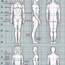 Male and female proportions sheet