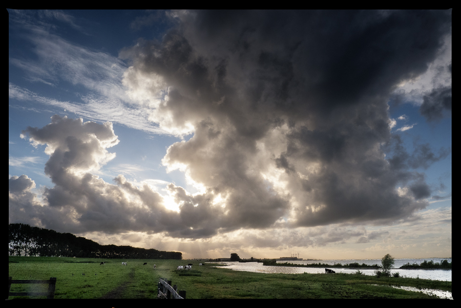 Summer in Holland