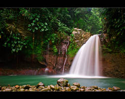 Tropical Waterfall