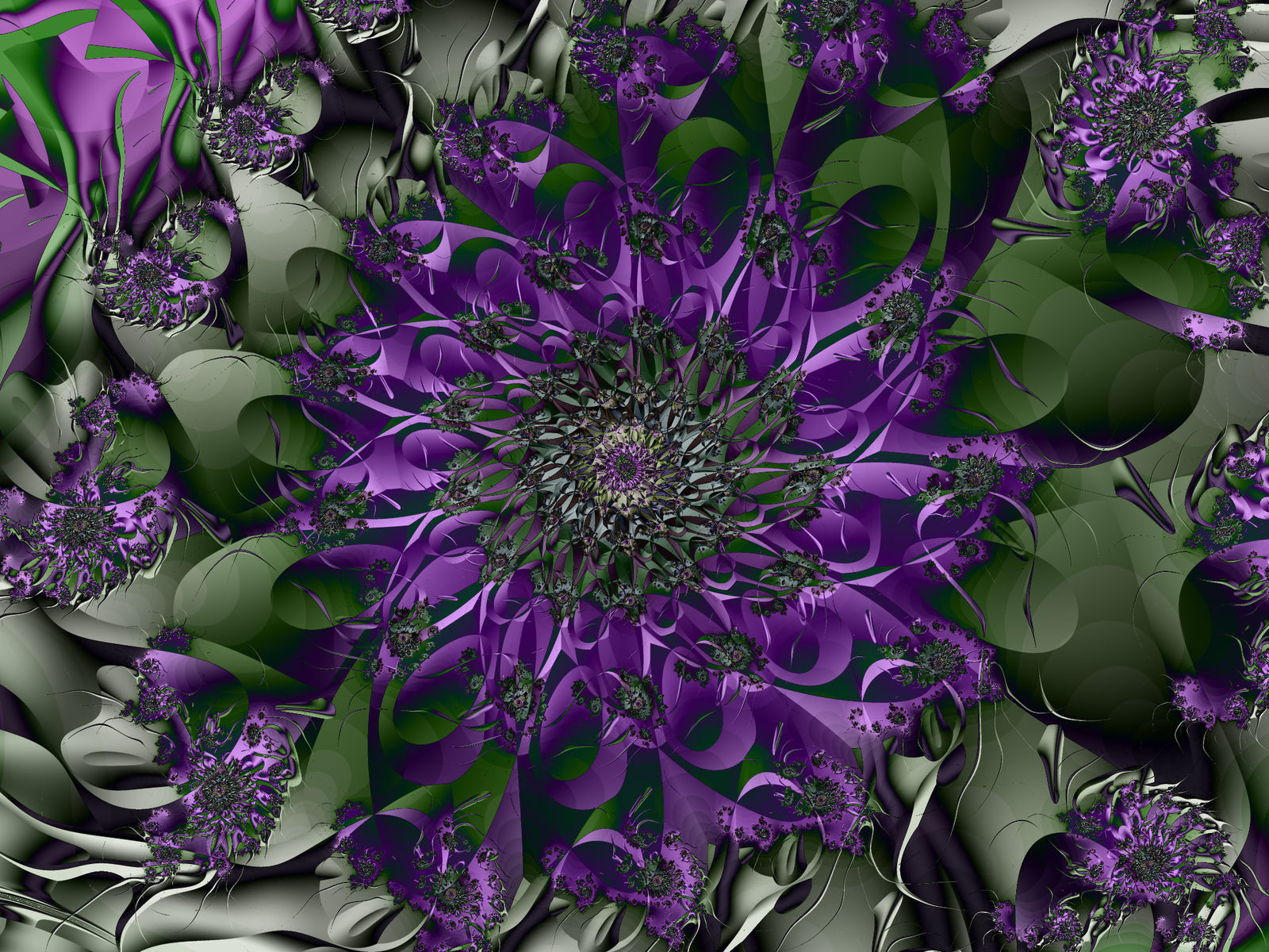 Thistle by imageObserver on DeviantArt