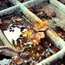 Autumn in boat