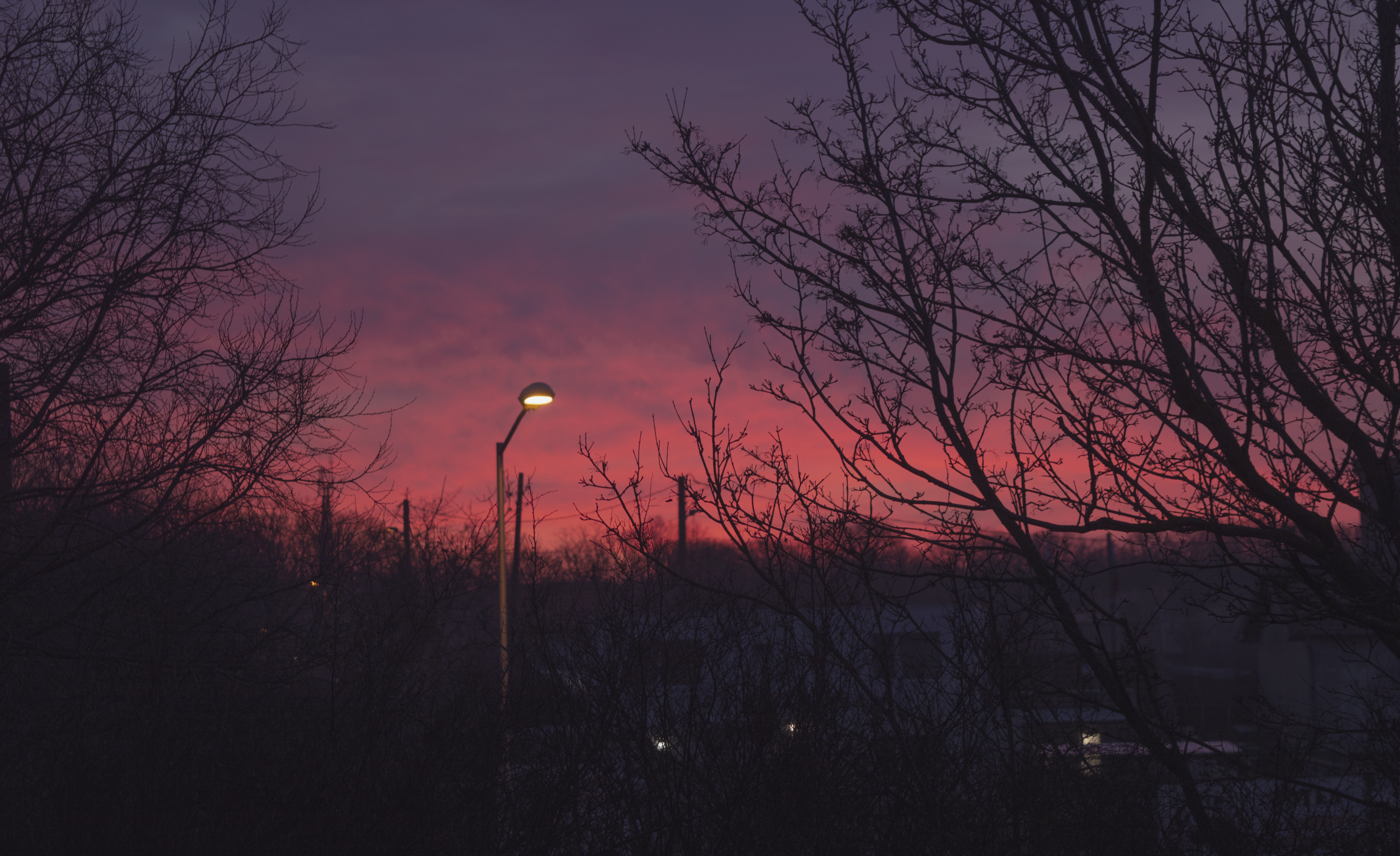 Pink horizon