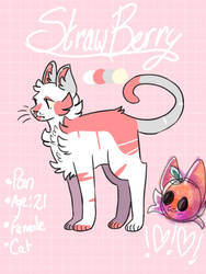 Strawberry cat adopt - OPEN