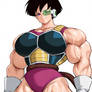 Fasha