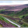 Heather-clad Moors...