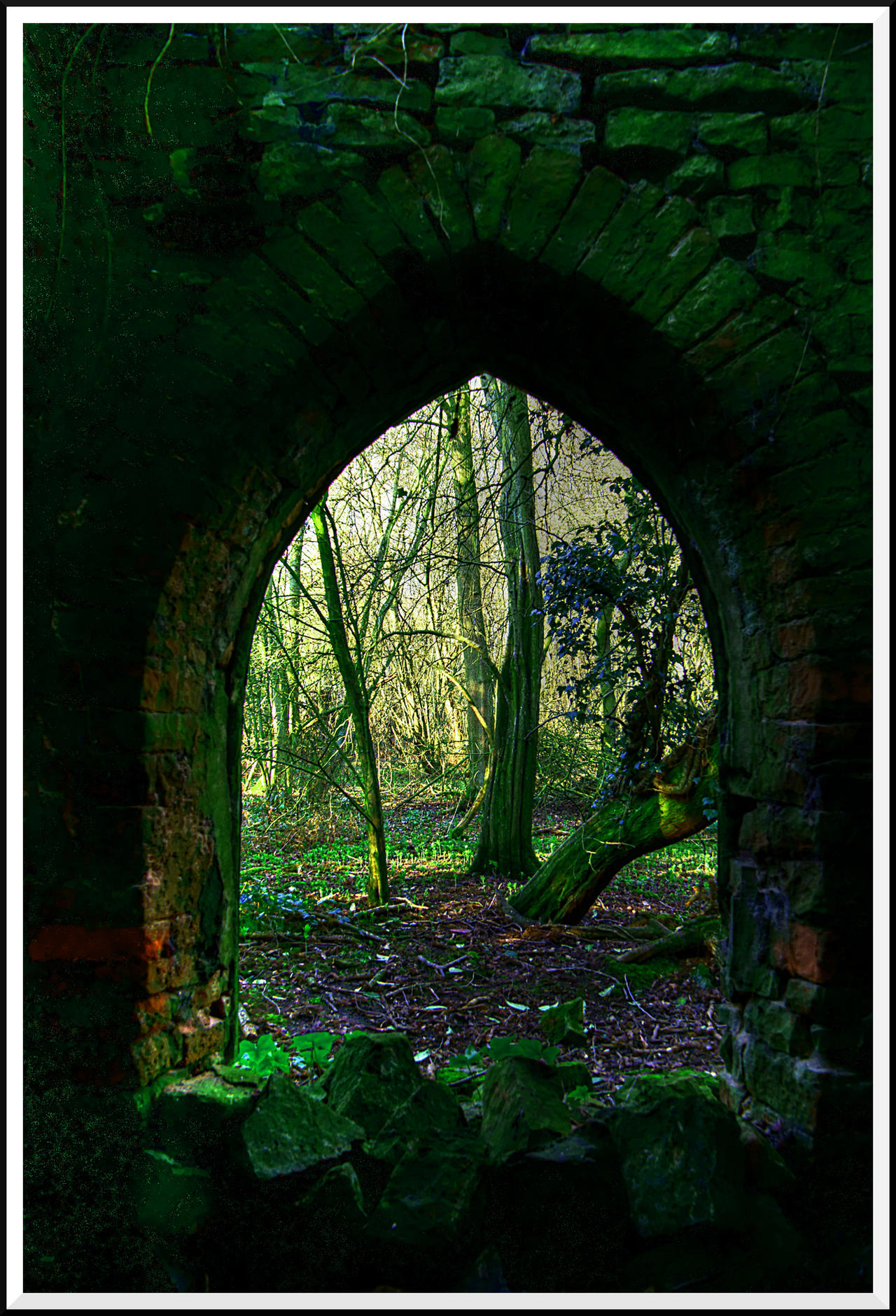 Through the Arch...