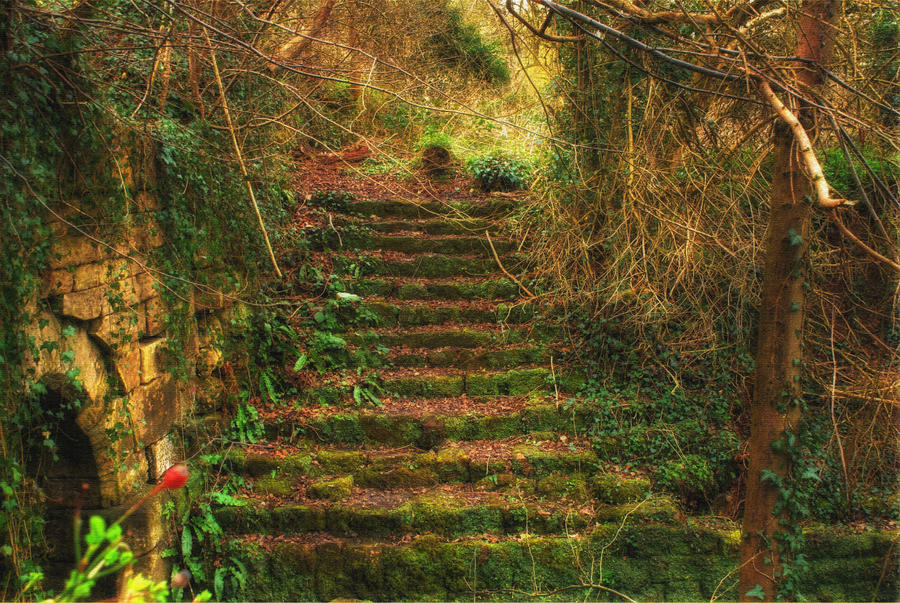 The Old Steps...