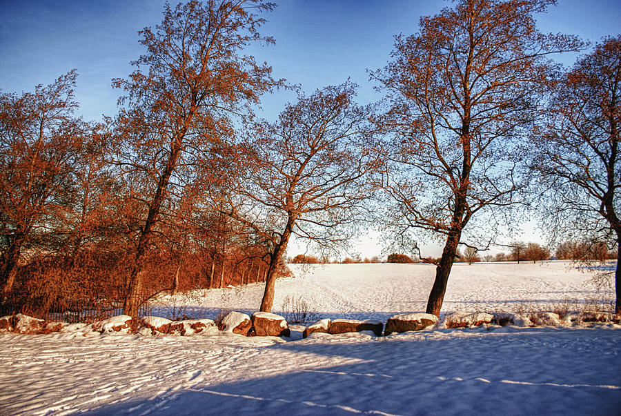 Field of Snow...