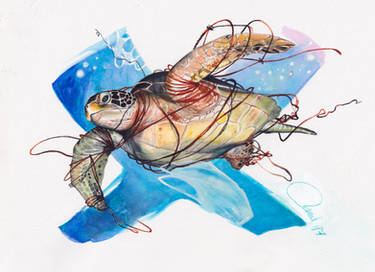 Save Sea Turtles