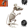 Bone Rat