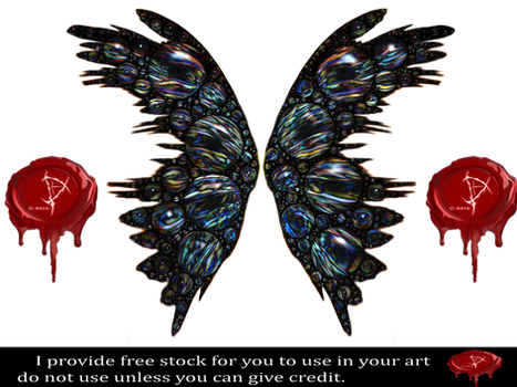 P.O.A. dark color wings