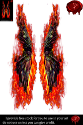 Fairy Wings w/fire 4