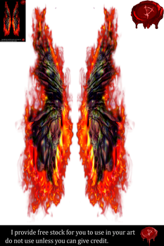 Fairy Wings w/fire 4