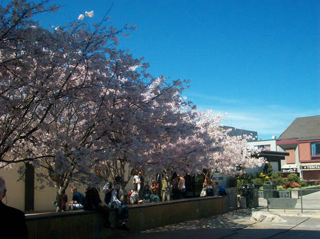 Japan Center in San Francisco