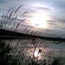 Calmness of the evening lake