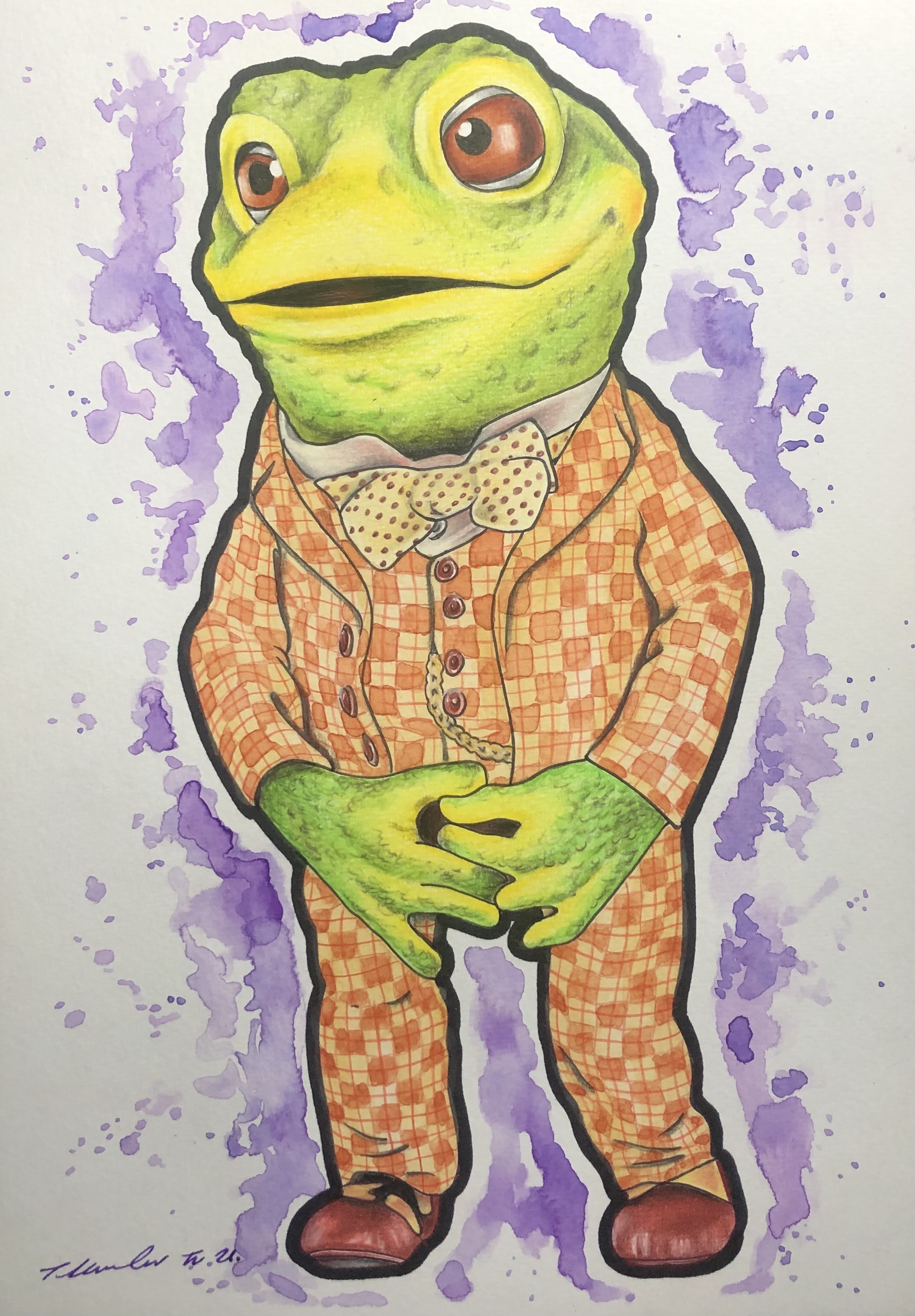 Mr Toad The Wind in the Willows Toad of Toad Hall by billyboyuk on ...