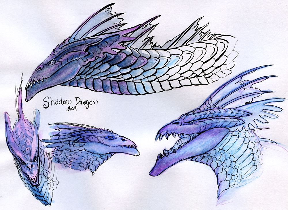 DnD Shadow Dragon - Practising