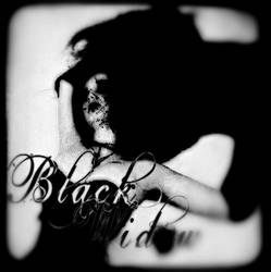 Black Widow - (Album Cover Art)