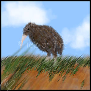 Kiwi