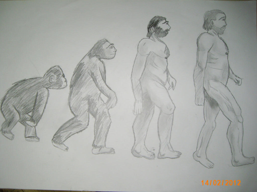 Evolution Humans Cut Out Human Evolution by SofijaKi025 on DeviantArt